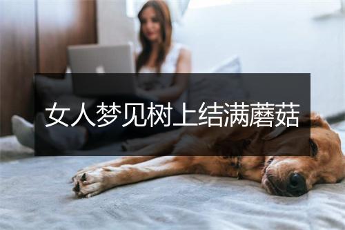 女人梦见树上结满蘑菇