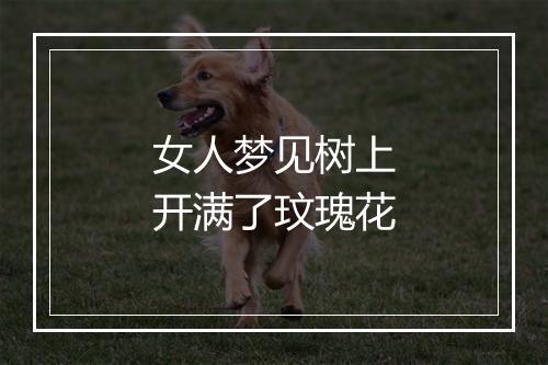 女人梦见树上开满了玟瑰花