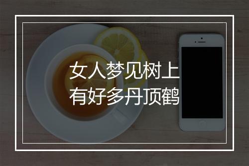 女人梦见树上有好多丹顶鹤