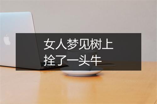 女人梦见树上拴了一头牛