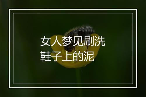 女人梦见刷洗鞋子上的泥