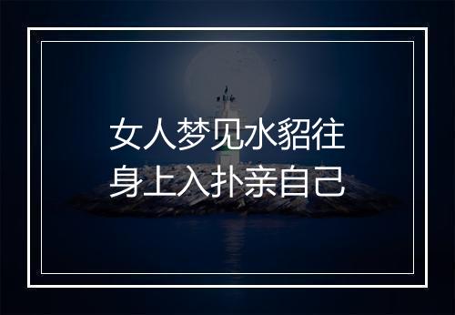 女人梦见水貂往身上入扑亲自己