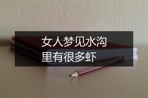 女人梦见水沟里有很多虾