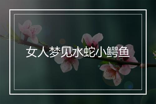 女人梦见水蛇小鳄鱼