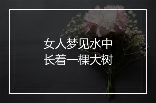 女人梦见水中长着一棵大树