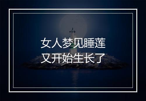 女人梦见睡莲又开始生长了