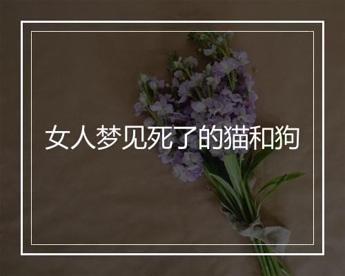 女人梦见死了的猫和狗