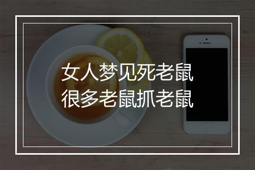 女人梦见死老鼠很多老鼠抓老鼠