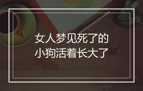 女人梦见死了的小狗活着长大了