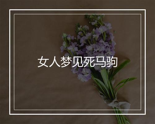 女人梦见死马驹