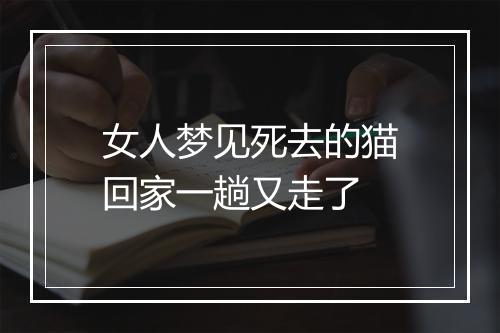 女人梦见死去的猫回家一趟又走了