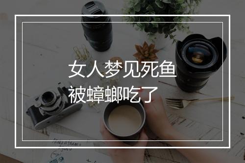 女人梦见死鱼被蟑螂吃了