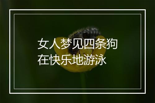 女人梦见四条狗在快乐地游泳