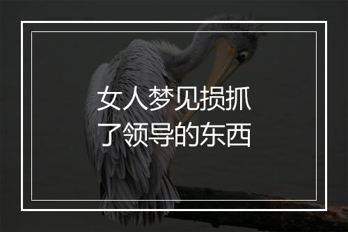 女人梦见损抓了领导的东西