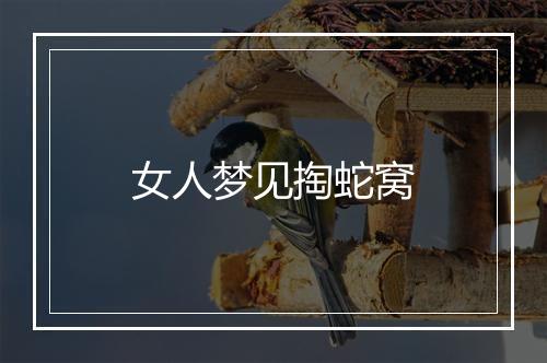 女人梦见掏蛇窝