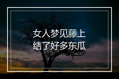 女人梦见藤上结了好多东瓜