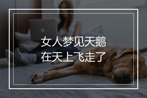 女人梦见天鹅在天上飞走了