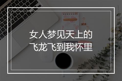 女人梦见天上的飞龙飞到我怀里