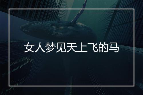 女人梦见天上飞的马