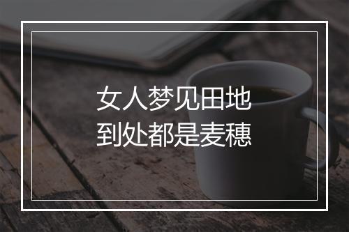 女人梦见田地到处都是麦穗