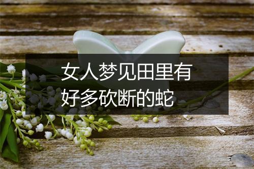 女人梦见田里有好多砍断的蛇