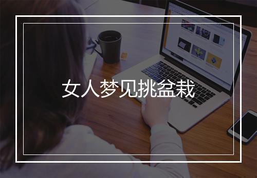 女人梦见挑盆栽