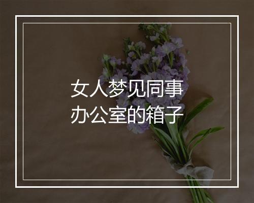 女人梦见同事办公室的箱子