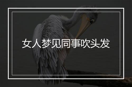 女人梦见同事吹头发