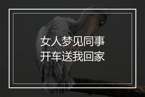 女人梦见同事开车送我回家