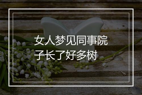 女人梦见同事院子长了好多树