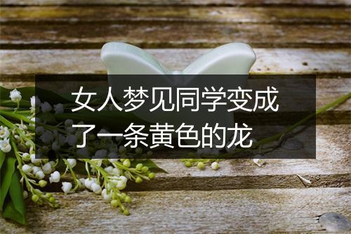 女人梦见同学变成了一条黄色的龙