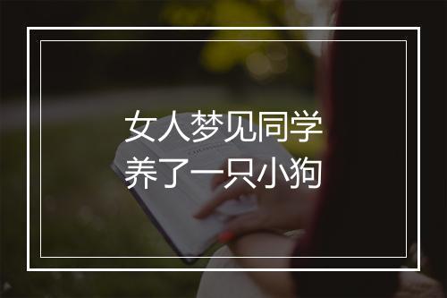 女人梦见同学养了一只小狗