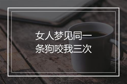 女人梦见同一条狗咬我三次