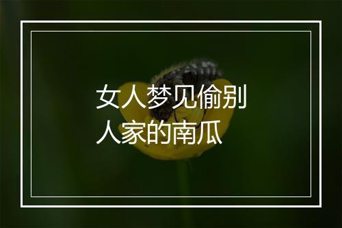 女人梦见偷别人家的南瓜