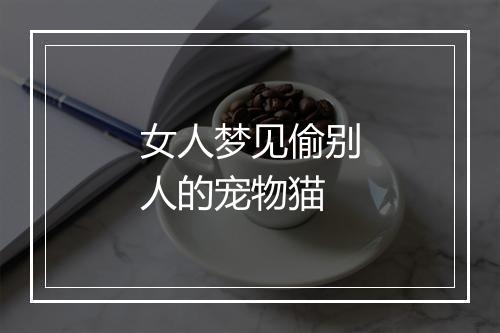 女人梦见偷别人的宠物猫