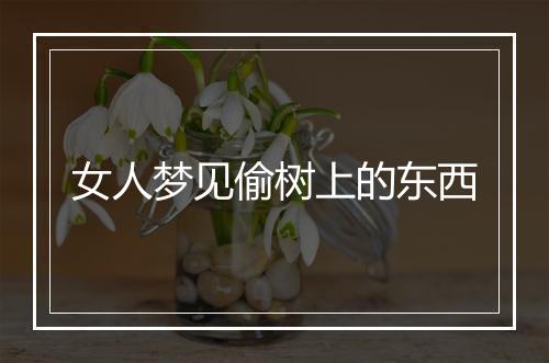 女人梦见偷树上的东西