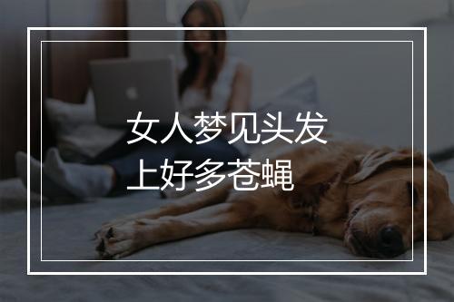 女人梦见头发上好多苍蝇