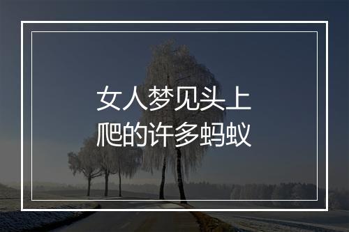 女人梦见头上爬的许多蚂蚁