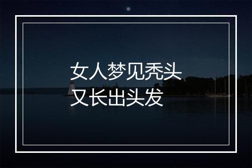 女人梦见秃头又长出头发