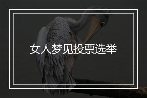 女人梦见投票选举