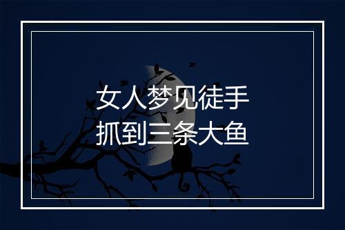 女人梦见徒手抓到三条大鱼