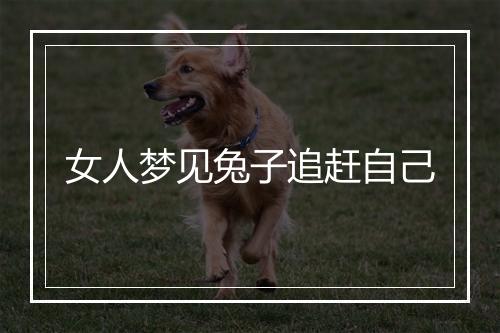 女人梦见兔子追赶自己