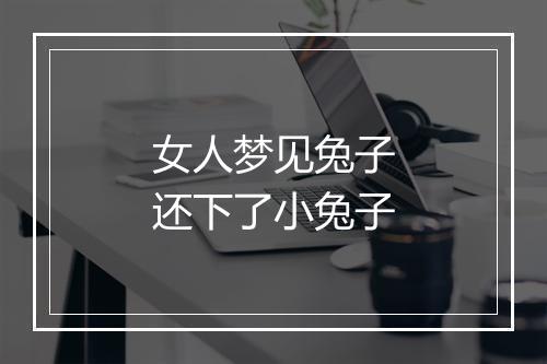 女人梦见兔子还下了小兔子