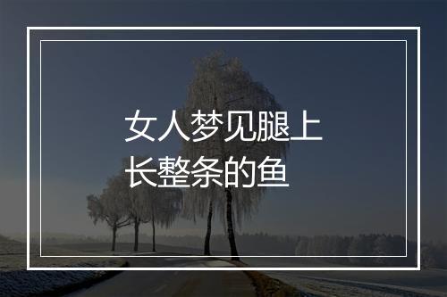 女人梦见腿上长整条的鱼