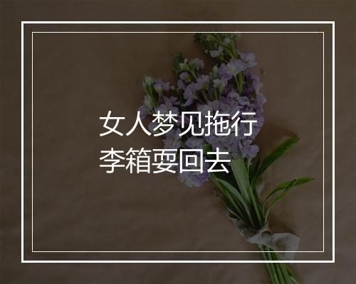 女人梦见拖行李箱耍回去