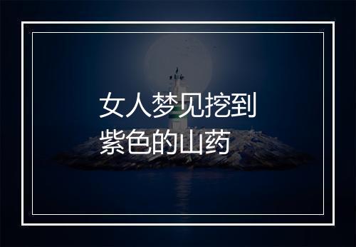 女人梦见挖到紫色的山药