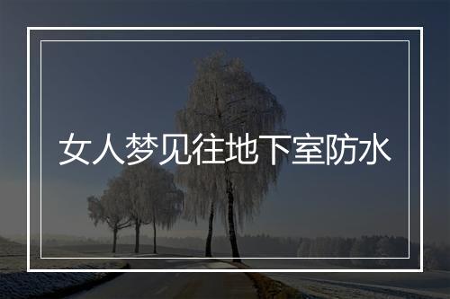 女人梦见往地下室防水