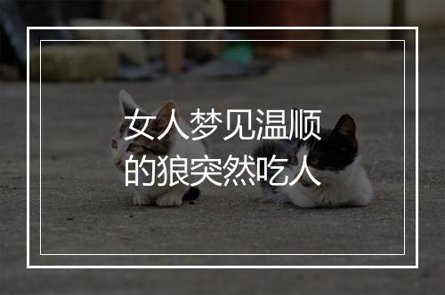 女人梦见温顺的狼突然吃人