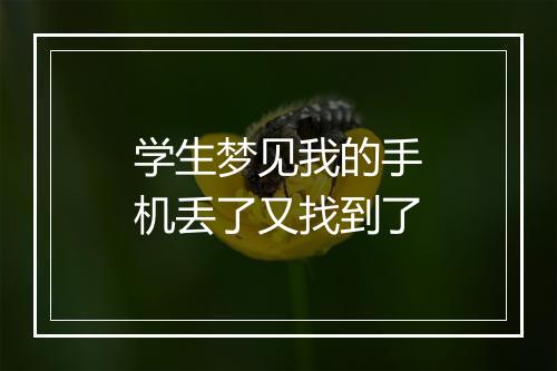 学生梦见我的手机丢了又找到了