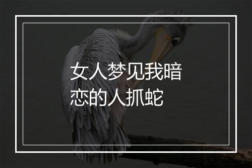 女人梦见我暗恋的人抓蛇